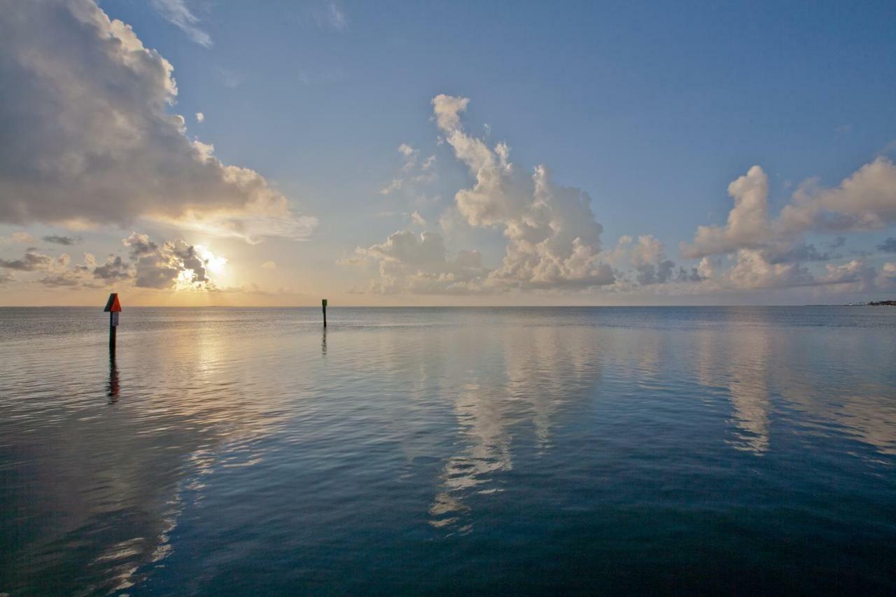 Campeche Cove #1 Hotel South Padre Island Eksteriør billede